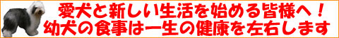 愛犬と新しい生活を始める皆様へ