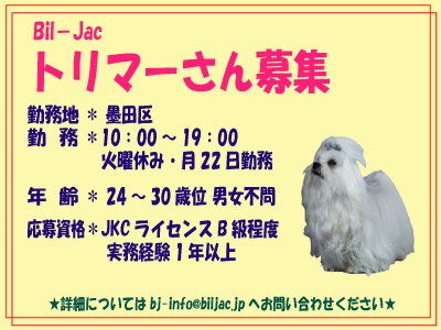 トリマーさん募集