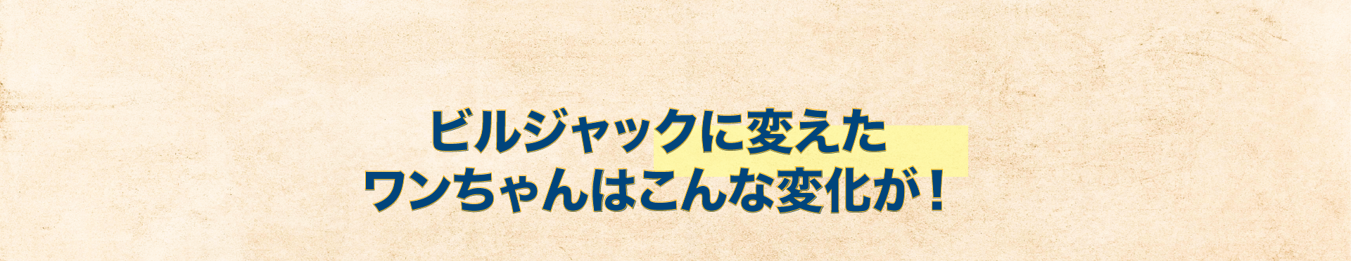 ビルジャックに変えたワンちゃんはこんな変化が！