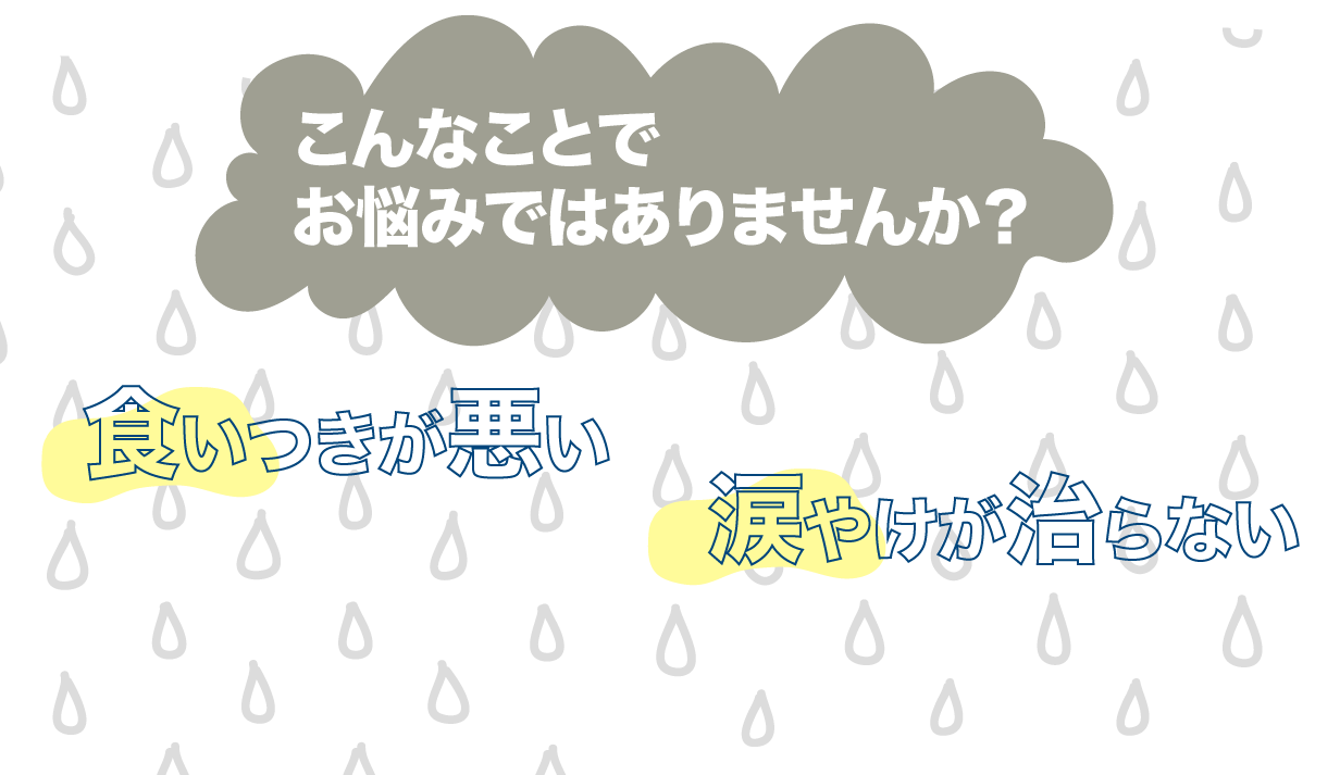 こんなことでお悩みではありませんか 食いつきが悪い 涙やけが治らない お通じの調子が悪い