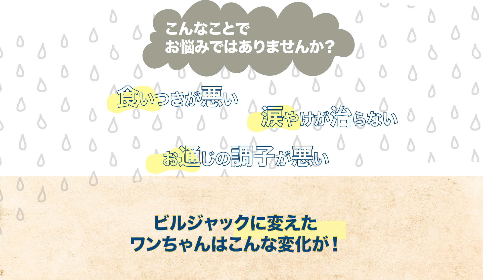 こんなことでお悩みではありませんか 食いつきが悪い 涙やけが治らない お通じの調子が悪い