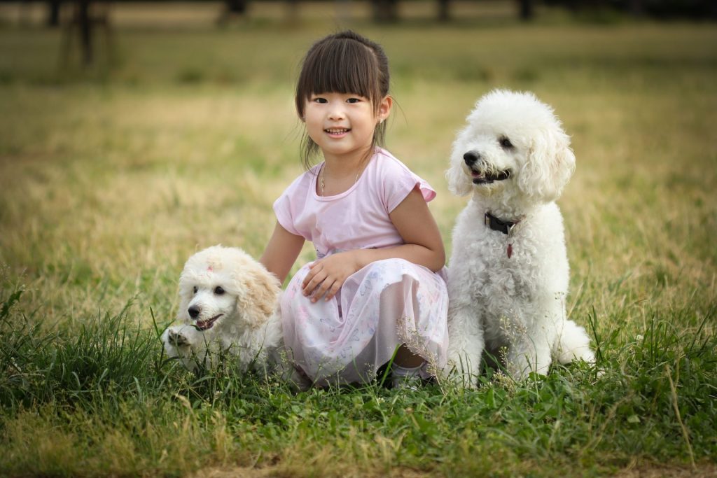 愛犬の健康を維持するための4つのアクティビティ